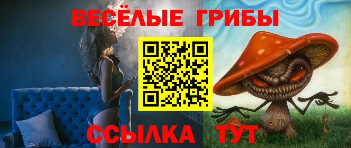 Карачаевск  Псилоцибиновые грибы Magic Shrooms  Галлюциногенные грибы MAGIC MUSHROOMS  Вход с VPN 